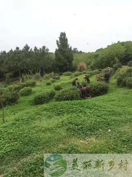 山村独幢精致土坯房，冬暖夏凉