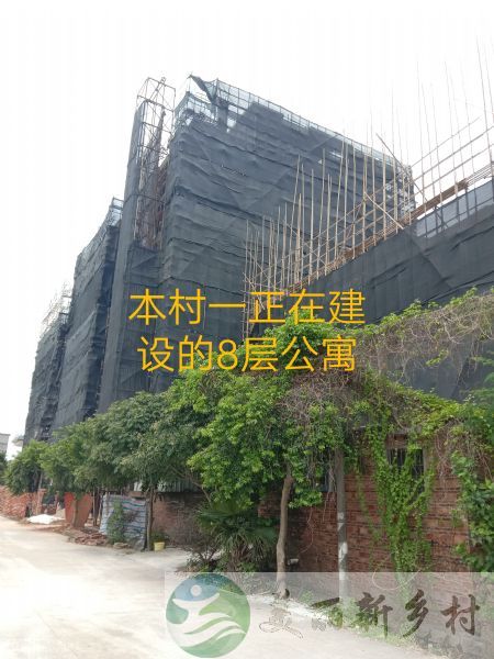 广东省鹤山市共和镇泮坑村民委员会丰塘村宅基地出租