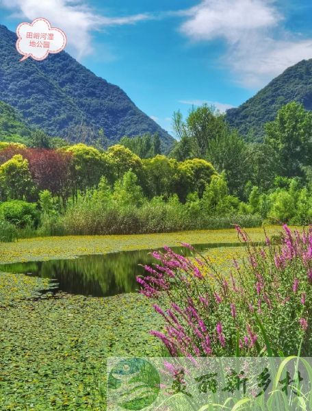 陕西西安秦岭国家植物园附近自建农村小洋房出租