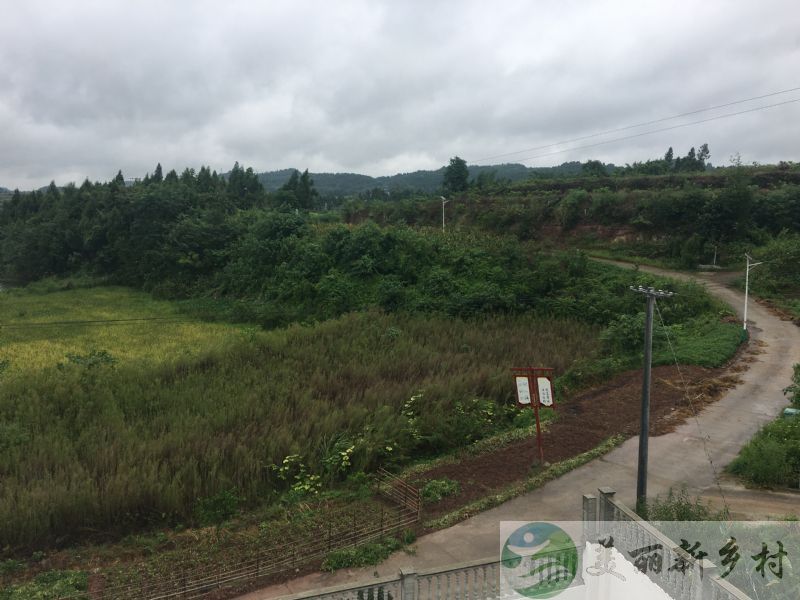 南充市顺庆区桂花乡桂花湖村农村房屋出租