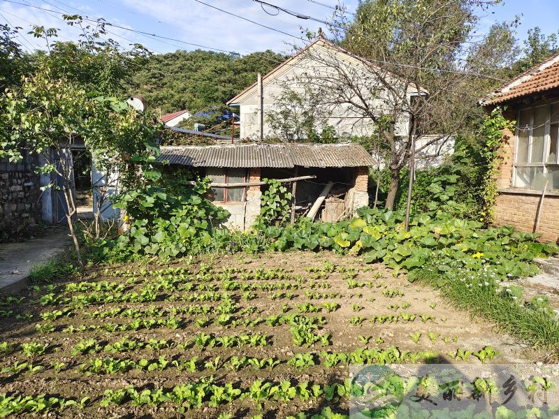 河北承德市兴隆县农村小院出租