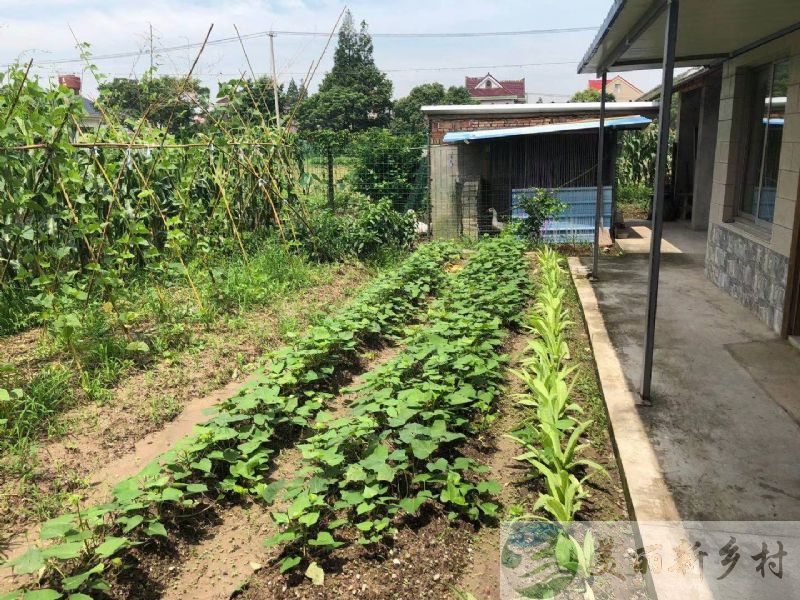 上海市崇明岛竖新镇竖南复兴村