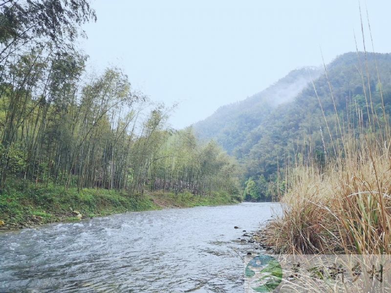 湖南常德桃源竹林小溪里的农村院子出租