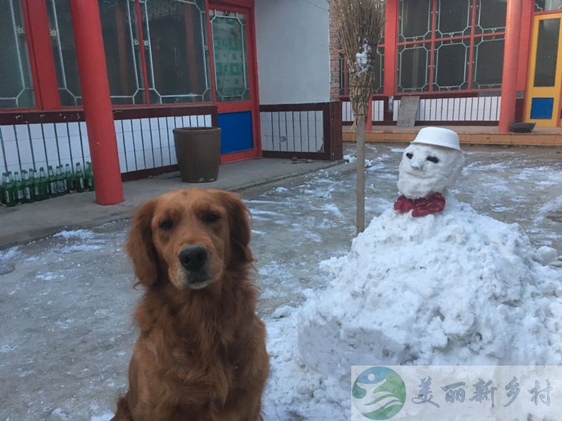 北京市顺义区奥林匹克水上公园附近