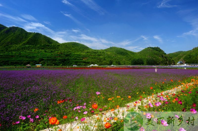 北京市密云区太师屯镇沙峪村一房源出租