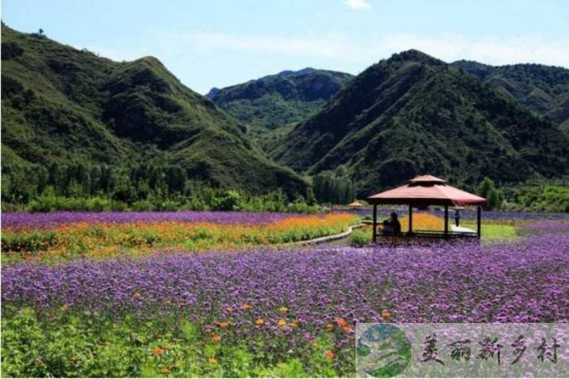 北京市密云区太师屯镇沙峪村一房源出租