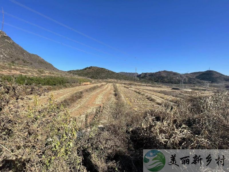 北京延庆大山景🌼田野风光老院出租