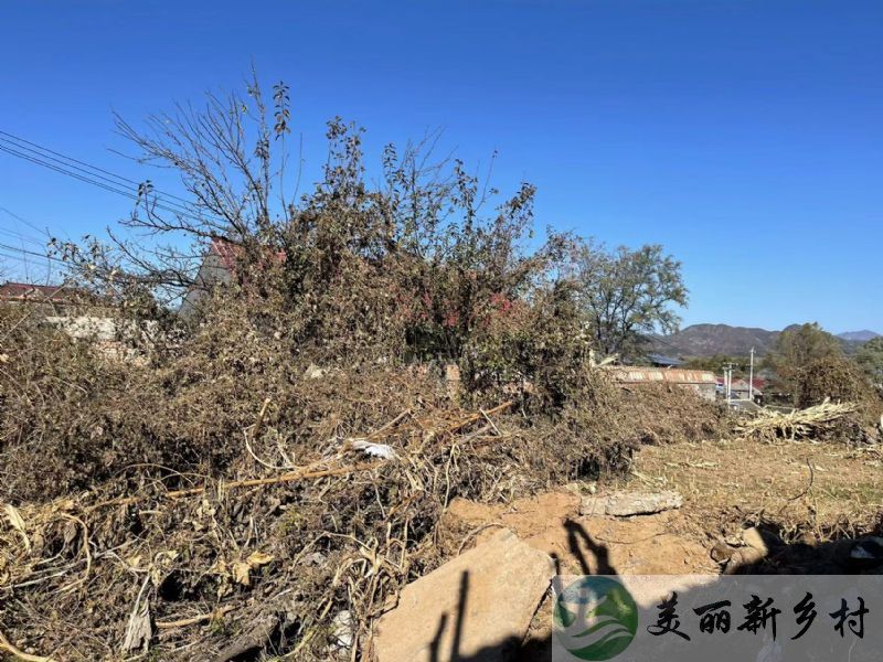 北京延庆永宁古镇南风景山独立老院出租