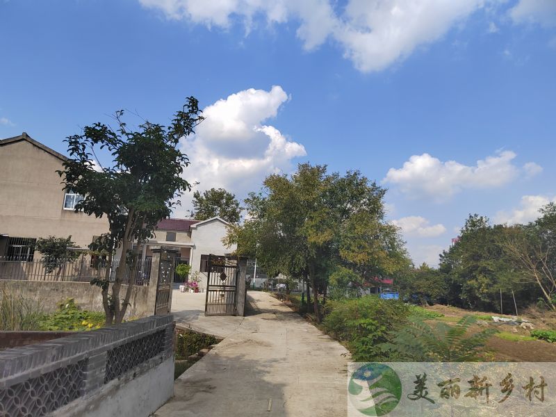 江苏省南京市江宁区陶吴社区清水塘村农村自建房出租