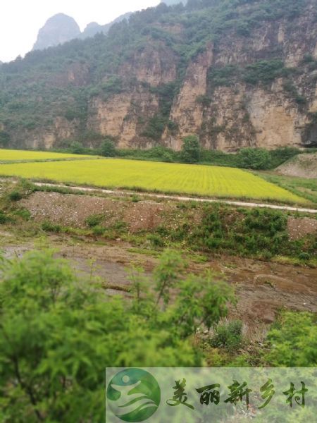 北京市密云区北庄镇杨坡岭村出租