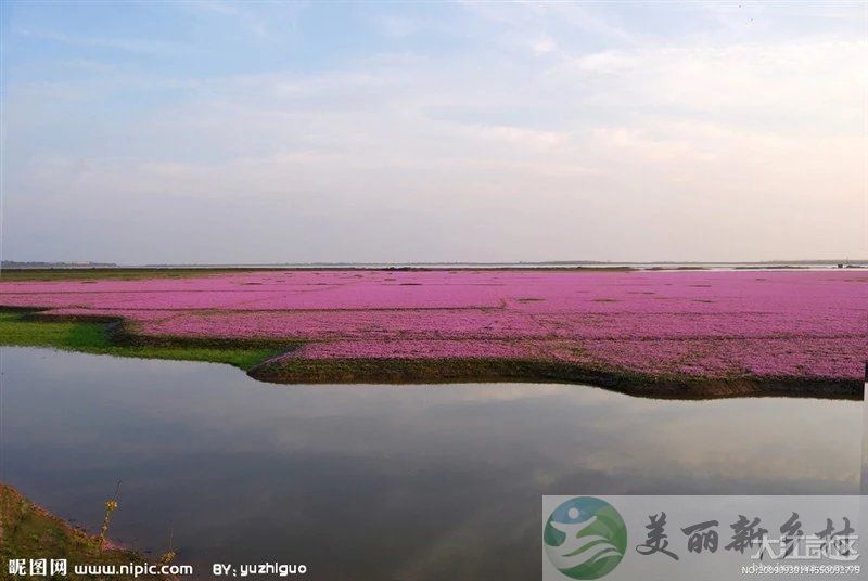 江西省九江市都昌县汪墩乡七角村委会大房蒋村