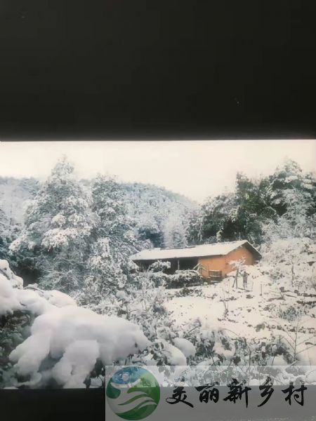 重庆沙坝区大学城后花园虎峰山景区农房出租