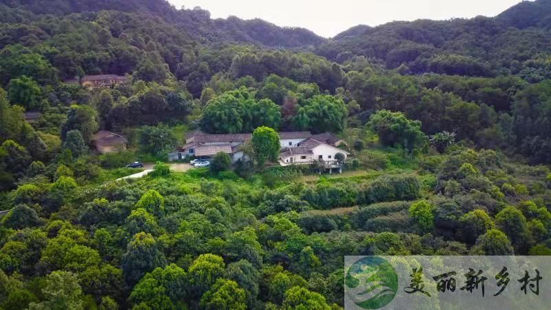 重庆沙坝区大学城后花园虎峰山景区农房出租