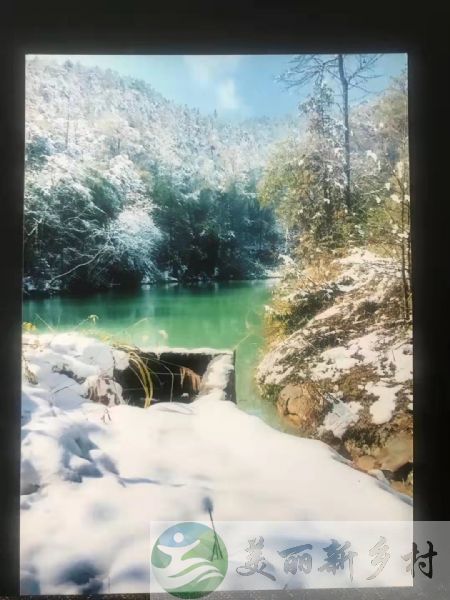 重庆沙坝区大学城后花园虎峰山景区农房出租