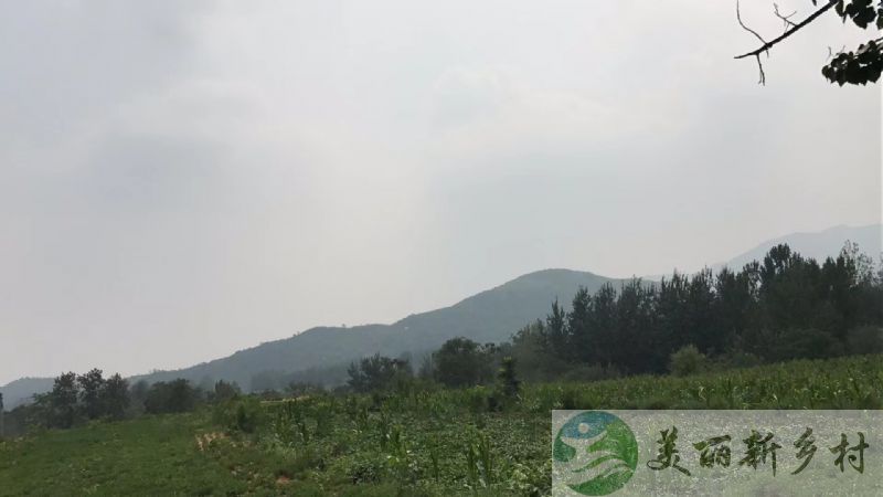 河北石家庄太行山农村老房出租，适合怀旧拍电影