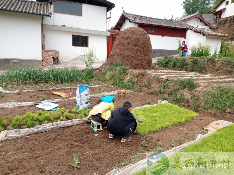 云南省丽江市玉龙县九河乡中和村养老、民宿吉房宝地出租