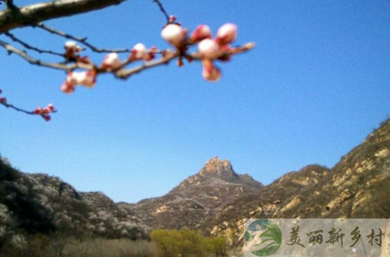 北京延庆区铁炉村依山傍水，避暑胜地农村房子出租