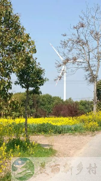 江苏扬州仪征月塘乡村宅基地农房独门独院出租