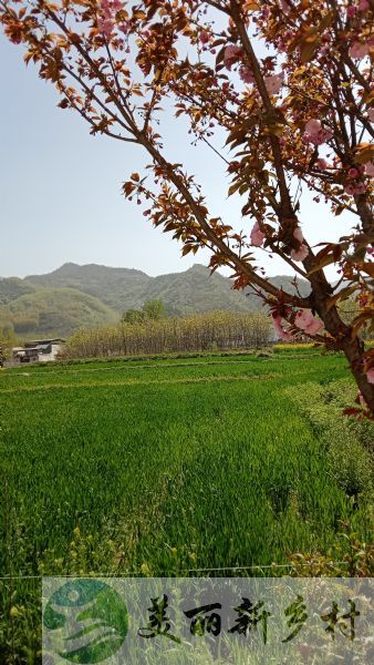 陕西省西安市农村房子出租-长安区太乙宫镇沙场村