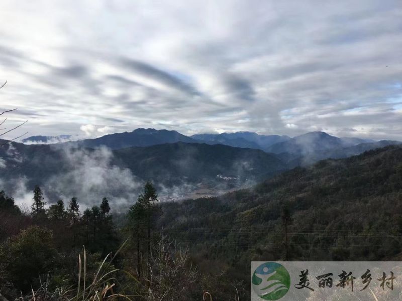 江西靖安县休闲避暑民宿出租合作