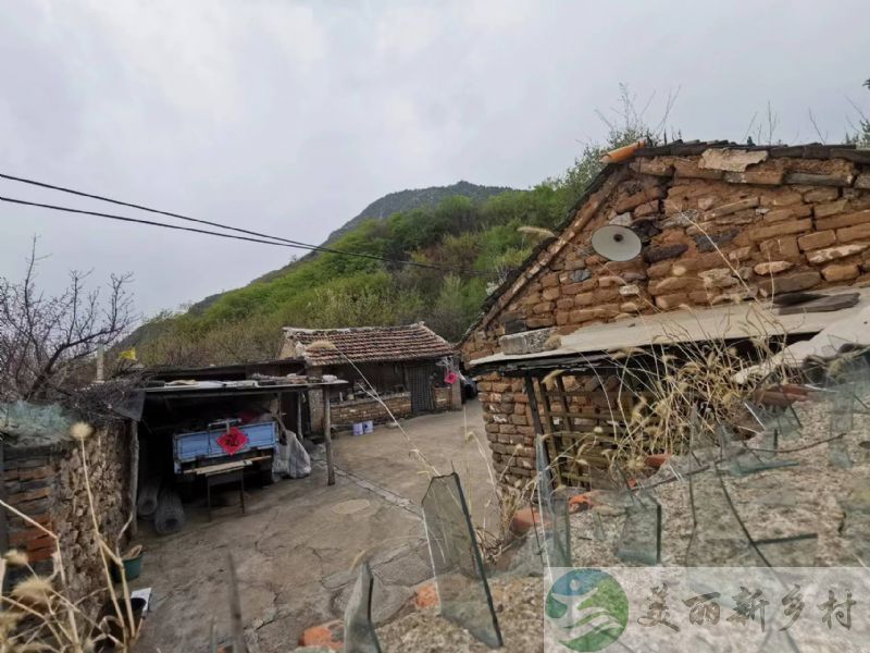 北京延庆农村院子出租-优美山树🌲独立一处高坡上老院