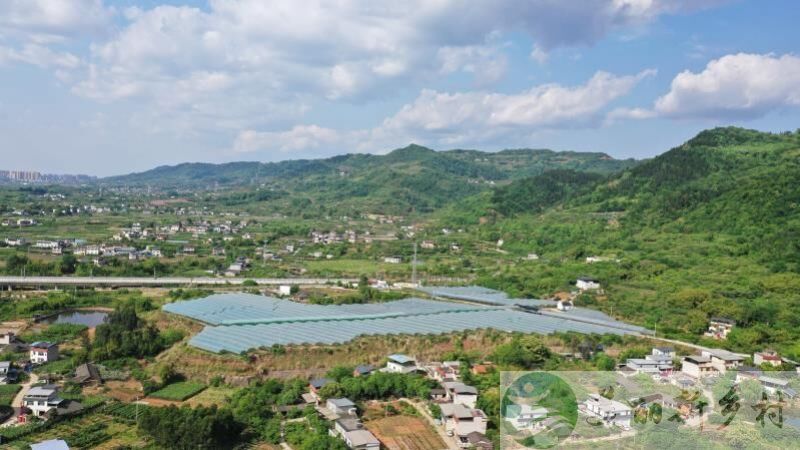 四川成都龙泉驿区农村自建房屋出租