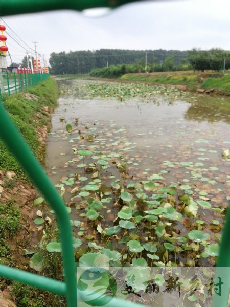 北京市平谷区农村院子出租-峪口镇西樊各庄村，成本价出租毛坯自建房。