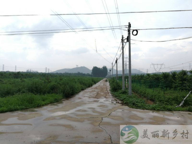 北京市平谷区农村院子出租-峪口镇西樊各庄村，成本价出租毛坯自建房。