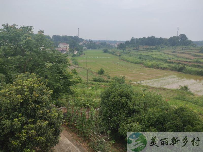 湖南常德桃花源里桃花香，桃源县农家自住小楼长租