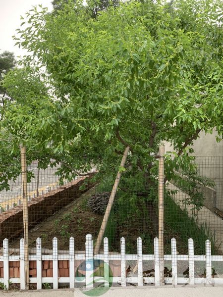 北京市密云区农村院子出租-穆家峪镇北穆家峪村农家小院