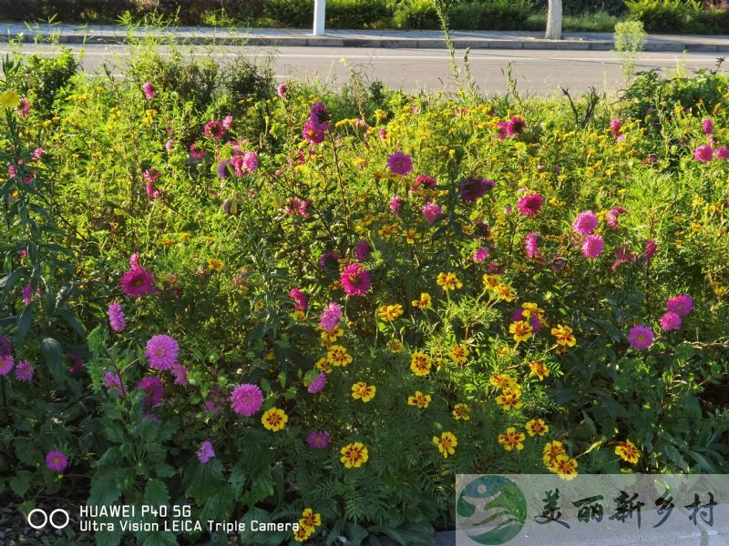 北京市密云区农村院子出租-穆家峪镇北穆家峪村农家小院