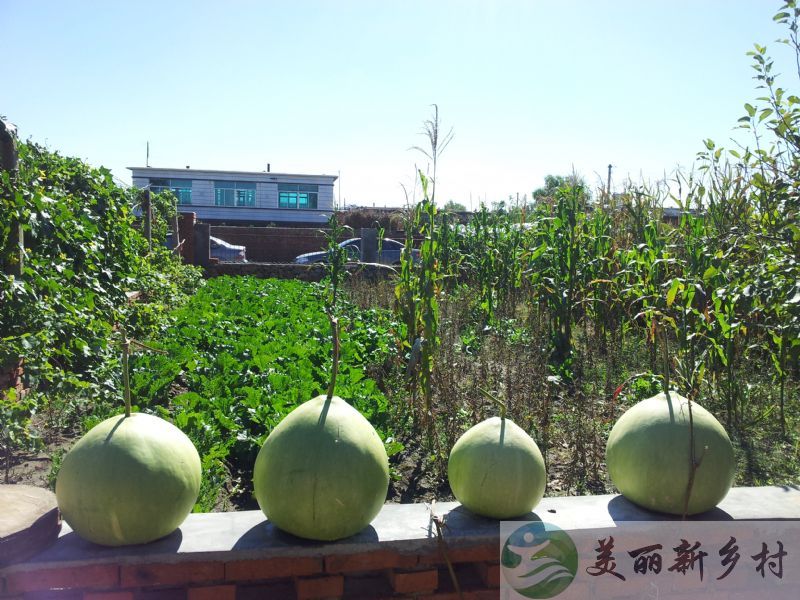 辽宁省沈阳市新民市东蛇山子乡房申村宅基地