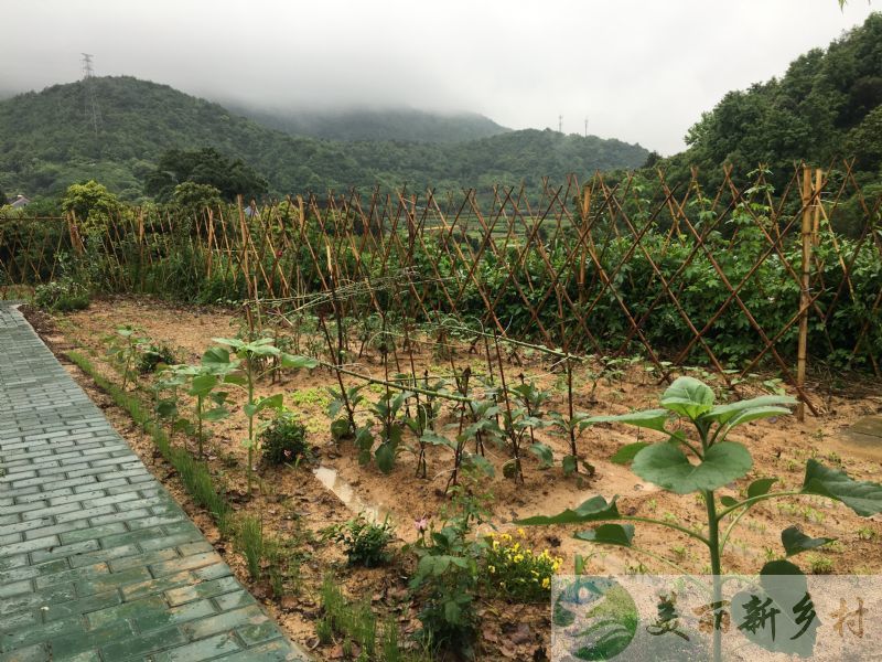 宁波北仑白峰镇新改造好民宿出租