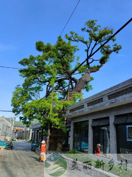 北京市怀柔区桥梓镇口头村农村院子整院出租