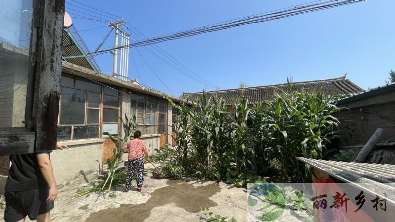 北京市密云区高岭镇下河村 出租需翻建小院