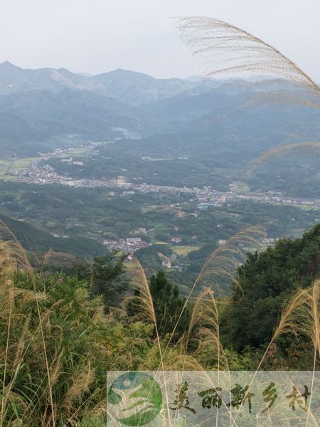 湖北省蕲春县檀林镇槐树村