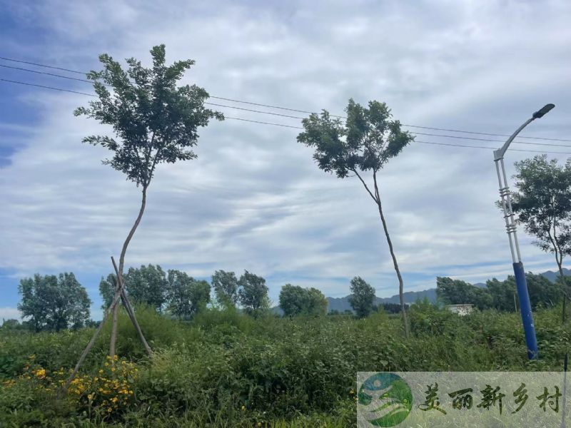 野鸭湖风景北京延庆大院出租