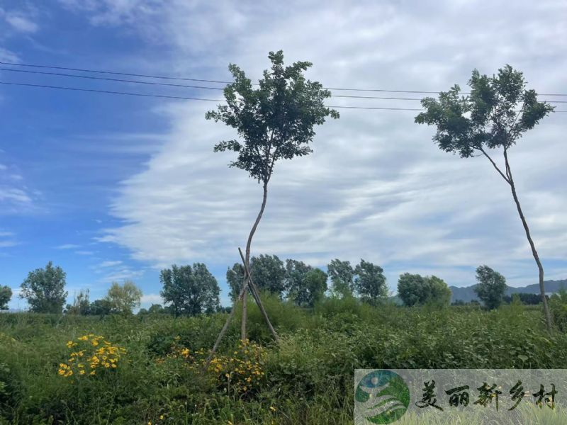 野鸭湖风景北京延庆大院出租