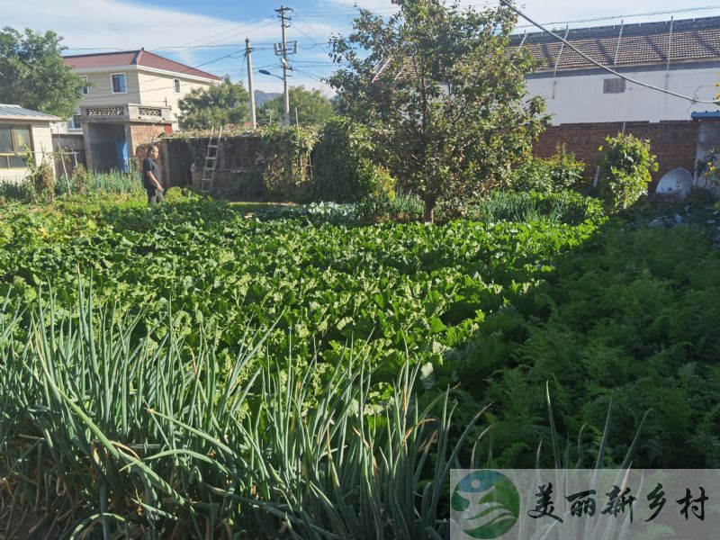 延庆王木营村700平米超大新房小院