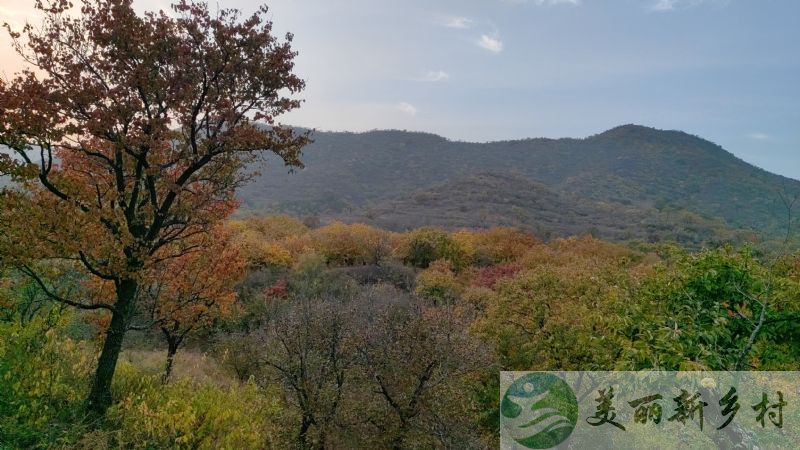 北京市怀柔区九渡河镇吉寺农村院子出租