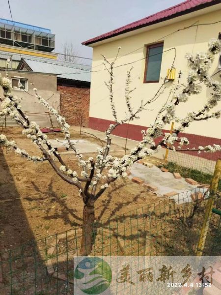 京平高速下芦各庄村新房独立小院出租