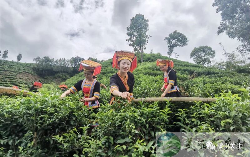 长寿之乡中国睡都广西蒙山县庭院民宅(八大套间)