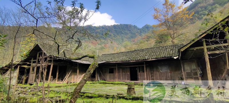 青城后山农家小院