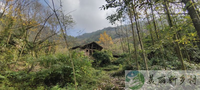 青城后山农家小院