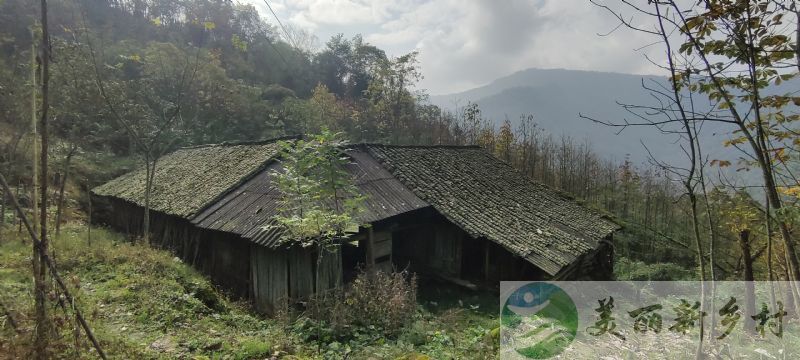 青城后山农家小院