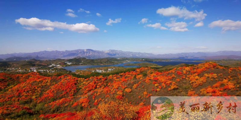 北京市密云区农村院子出租-溪翁庄镇石马峪村