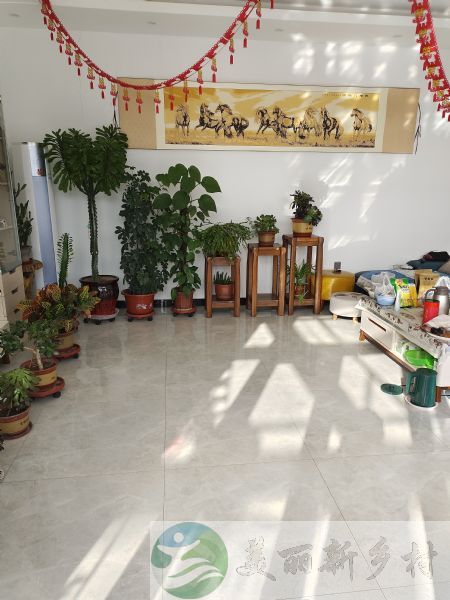 北京市顺义区大孙各庄镇大塘村农村独院出租