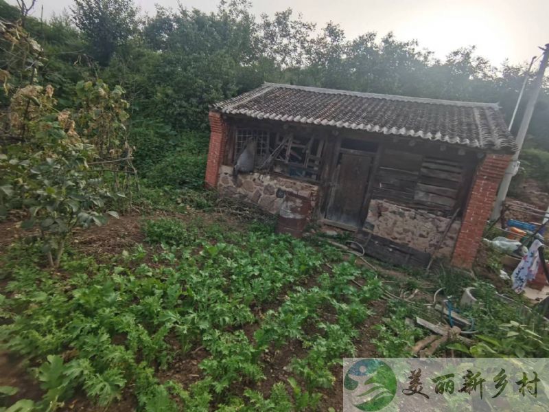 北京延庆郊区观景小院