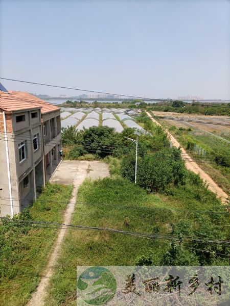 奓山街道新集村~生态风景园农房出租（11组）