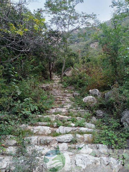 顺义木林镇舞彩浅山茶棚村农村房子出租